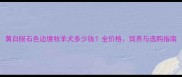 黄白陨石色边境牧羊犬多少钱全价格饲养与选购指南