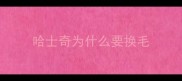 哈士奇为什么要换毛