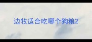 边牧适合吃哪个狗粮