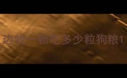 边牧一顿吃多少粒狗粮