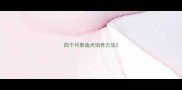 四个月泰迪犬饲养方法