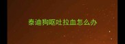 泰迪狗呕吐拉血怎么办