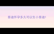 泰迪怀孕多久可以生小泰迪