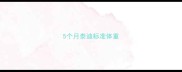 5个月泰迪标准体重