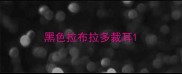黑色拉布拉多裁耳