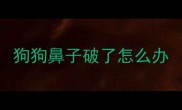 狗狗鼻子破了怎么办