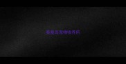 秦皇岛宠物收养所