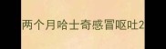 两个月哈士奇感冒呕吐