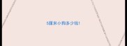 5厘米小狗多少钱
