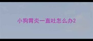 小狗胃炎一直吐怎么办