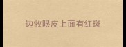 边牧眼皮上面有红斑