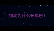狗狗为什么瑶尾巴