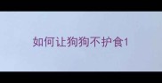 如何让狗狗不护食