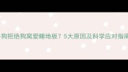 小狗拒绝狗窝爱睡地板5大原因及科学应对指南