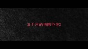 五个月的狗憋不住