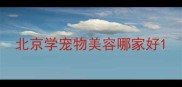 北京学宠物美容哪家好