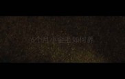 6个月小金毛如何养