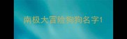 南极大冒险狗狗名字