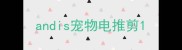 andis宠物电推剪
