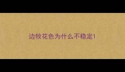 边牧花色为什么不稳定