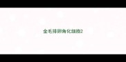 金毛排卵角化细胞