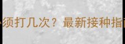 宠物狂犬疫苗必须打几次最新接种指南与注意事项全