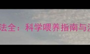 法斗牛四个月狗粮泡法全科学喂养指南与注意事项附食谱