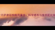 两个月萨摩耶狗粮用量全科学喂养与营养配比指南