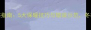 南方泰迪犬冬季穿搭指南5大保暖技巧与错误示范冬季保暖这样做才科学