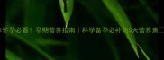 猫咪怀孕必看孕期营养指南科学备孕必补的5大营养素