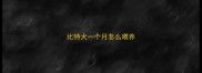 比特犬一个月怎么喂养