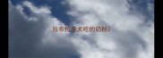 拉布拉多犬吃的奶粉