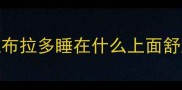 拉布拉多睡在什么上面舒服