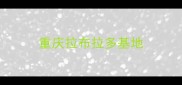 重庆拉布拉多基地