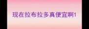 现在拉布拉多真便宜啊