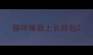 猫咪嘴唇上长脓包