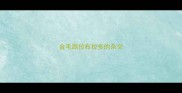 金毛跟拉布拉多的杂交