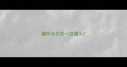 猫咪多久吃一次罐头