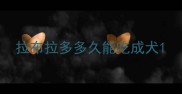 拉布拉多多久能吃成犬