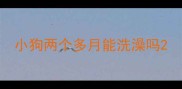 小狗两个多月能洗澡吗