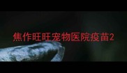焦作旺旺宠物医院疫苗