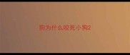 狗为什么咬死小狗