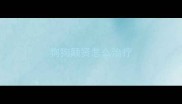 狗狗颠贤怎么治疗