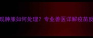 宠物疫苗接种后出现肿胀如何处理专业兽医详解疫苗反应与家庭护理指南