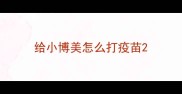 给小博美怎么打疫苗