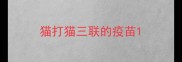 猫打猫三联的疫苗