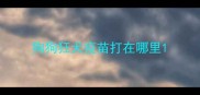 狗狗狂犬疫苗打在哪里