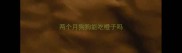 两个月狗狗能吃橙子吗