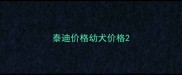 泰迪价格幼犬价格