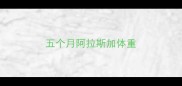 五个月阿拉斯加体重